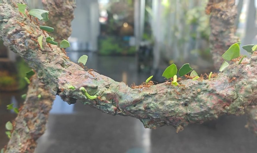 I could sit and watch this for an hour