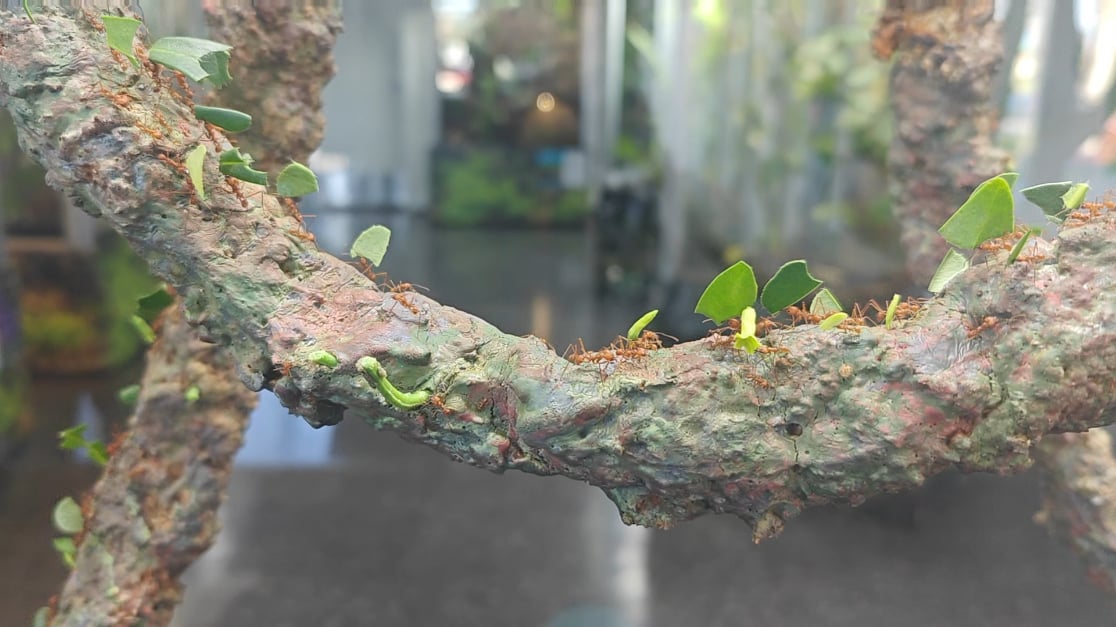 I could sit and watch this for an hour