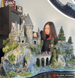 I made Hogwarts From Harry Potter out of Cardboard boxes and wooden sticks