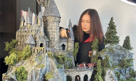 I made Hogwarts From Harry Potter out of Cardboard boxes and wooden sticks