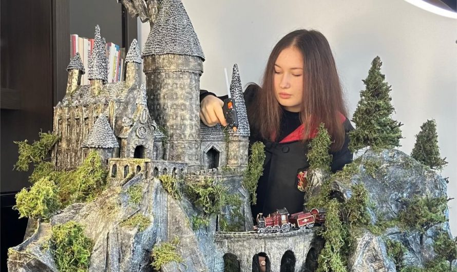 I made Hogwarts From Harry Potter out of Cardboard boxes and wooden sticks