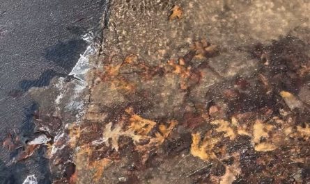 Ice breaking off the surface of a water stream