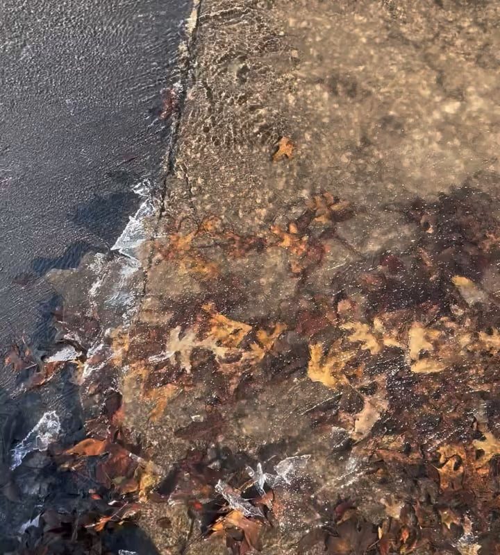Ice breaking off the surface of a water stream