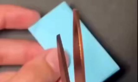 Kirigami is a traditional Japanese art where artists combine folding and precise cutting to create delicate designs like butterflies