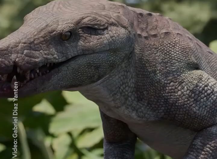 Kostensuchus atrox, a new species of terrestrial, hypercarnivorous crocodyliforms from the Late Cretaceous of Argentina. Credit National Geographic.