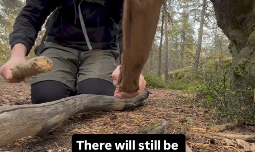 Making beat from drumming on wood