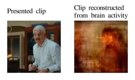 Mental imagination reconstructed from Brain activity using fMRI