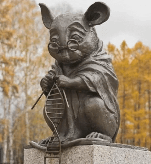 Monument in Akademgorodok, Novosibirsk dedicated to mouse contribution to research