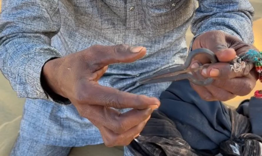 Morchang, a traditional instrument from Rajasthan, India.