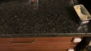 My toaster and my butter knife are a perfect fifth apart.