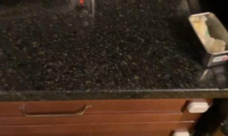 My toaster and my butter knife are a perfect fifth apart.