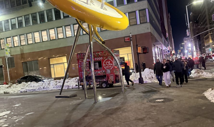 [OC] the way this snow fits inside this button