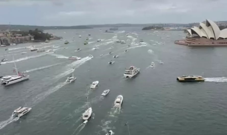 Organised chaos in Sydney harbour on Australia Day 2026