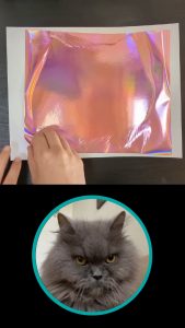 Peeling the foil off my portrait of Bibi the Persian Cat (OC)