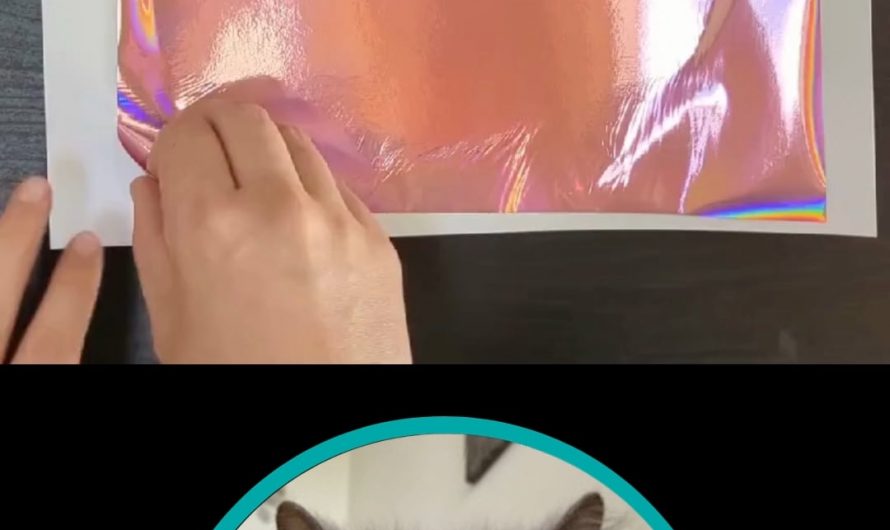 Peeling the foil off my portrait of Bibi the Persian Cat (OC)