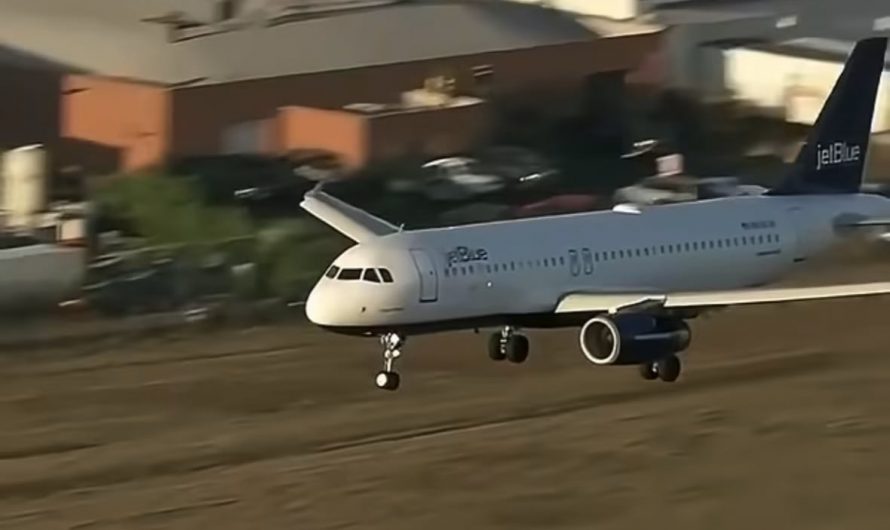 Pilot has managed to land plane without crashing after the front wheels failed.