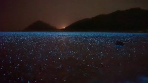 Raindrops falling on bioluminescent water in Puerto Rico