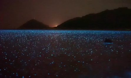 Raindrops falling on bioluminescent water in Puerto Rico