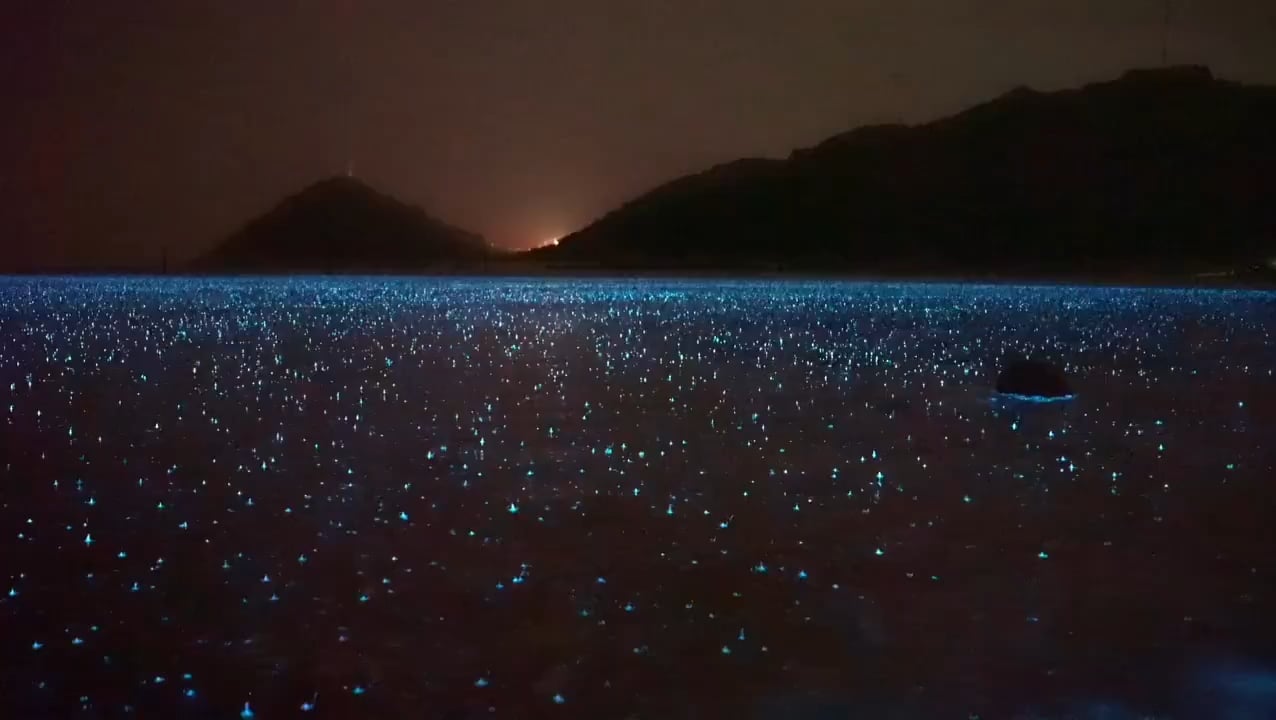 Raindrops falling on bioluminescent water in Puerto Rico