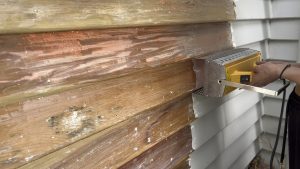 Removing paint from the outside of my home