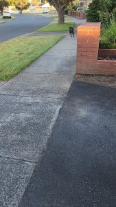 She dropped her baby