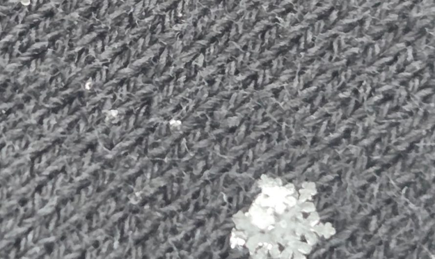 Some snowflake definition on my coat sleeve.