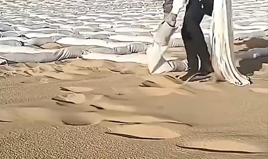 Stopping Desertification with grid pattern