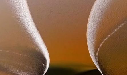 The Silver Dragon of the Qiantang River