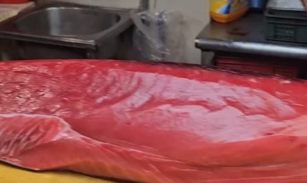 The perfect cut of a tuna