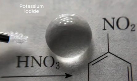 The real cute reactions