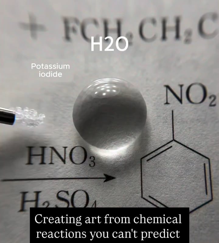 The real cute reactions