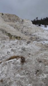 The steaming travertine terraces at Mammoth Hot Springs, Wyoming
