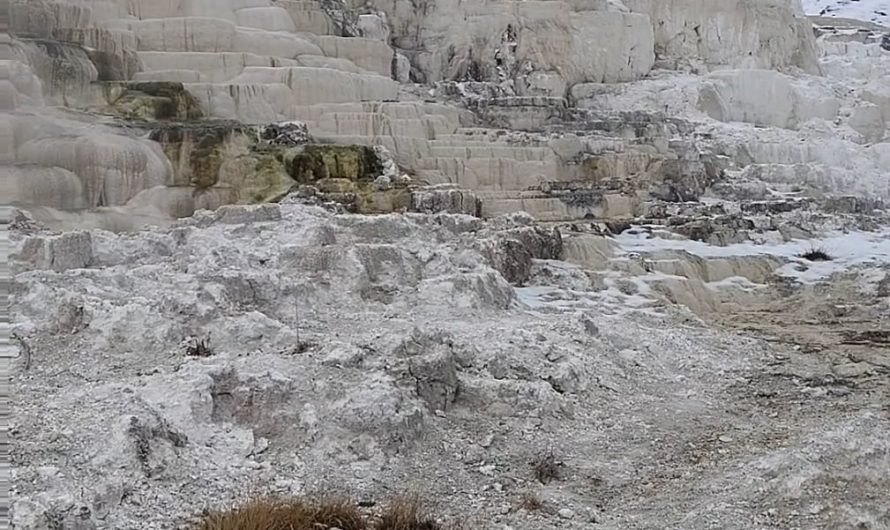 The steaming travertine terraces at Mammoth Hot Springs, Wyoming