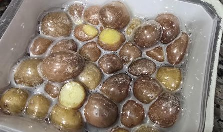 The way the plastic wrap sealed over the potatoes