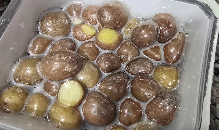 The way the plastic wrap sealed over the potatoes