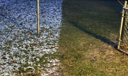 The way the snow is melting in half in my boyfriend’s backyard