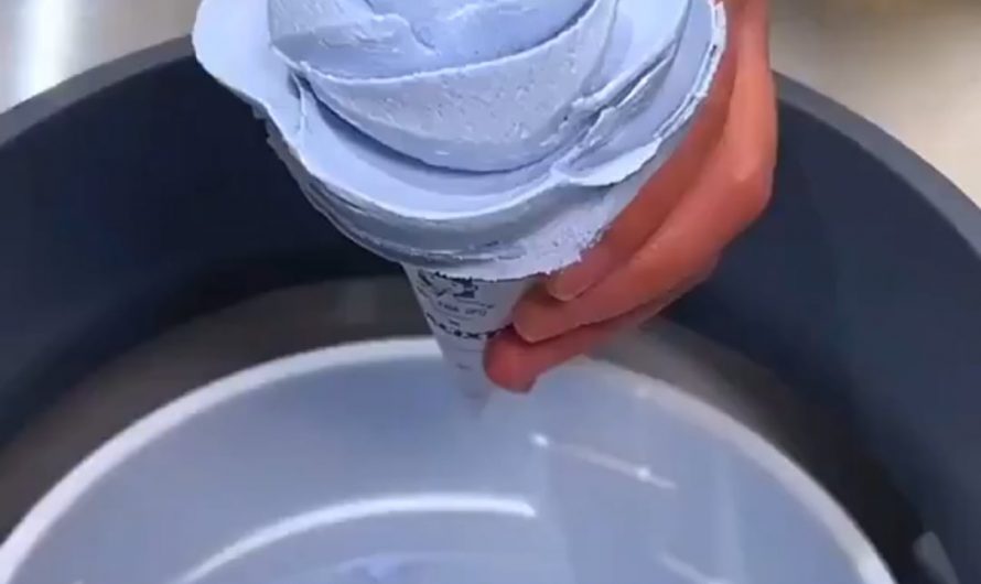 This ice cream arranged in a floral style is amazingly done