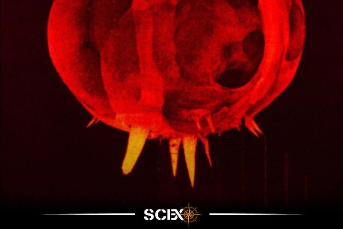 This is an image of a nuclear blast took in 1952 by Harold Egerton -less than one milisecond after the explosion- in Nevada, USA