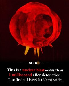 This is an image of a nuclear blast took in 1952 by Harold Egerton -less than one milisecond after the explosion- in Nevada, USA