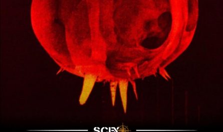 This is an image of a nuclear blast took in 1952 by Harold Egerton -less than one milisecond after the explosion- in Nevada, USA