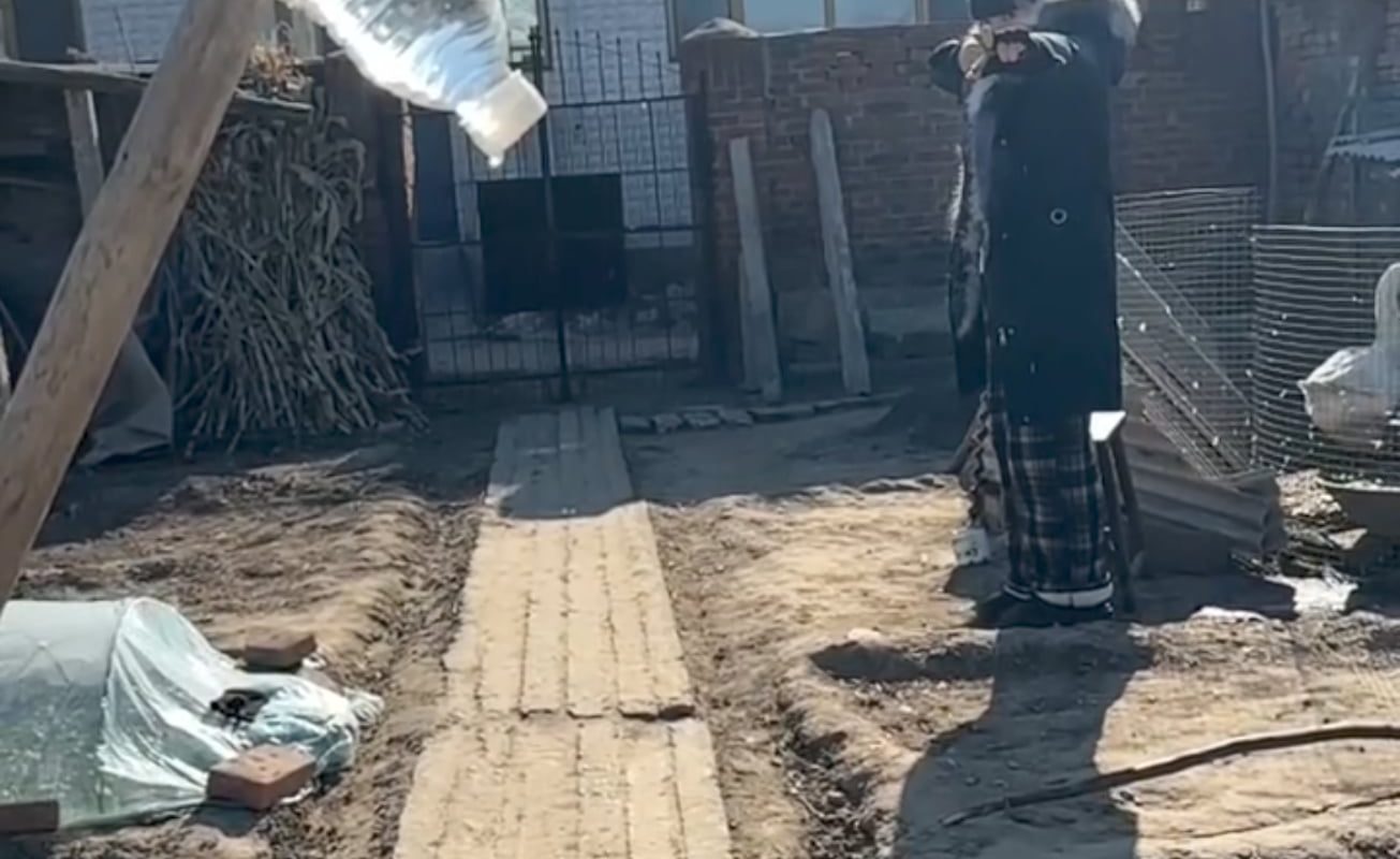 This is the best aim by a slingshot I've ever seen