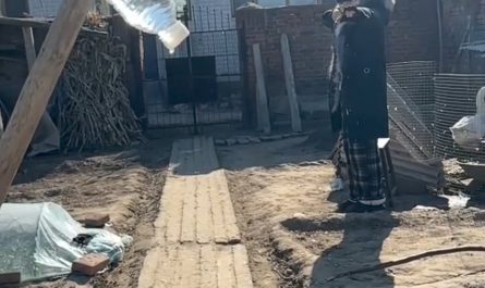 This is the best aim by a slingshot I've ever seen