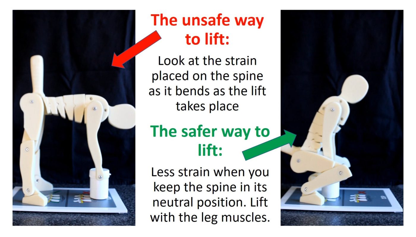 Tiny mannequin used to demonstrate safe way to lift from the ground