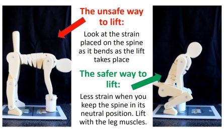 Tiny mannequin used to demonstrate safe way to lift from the ground