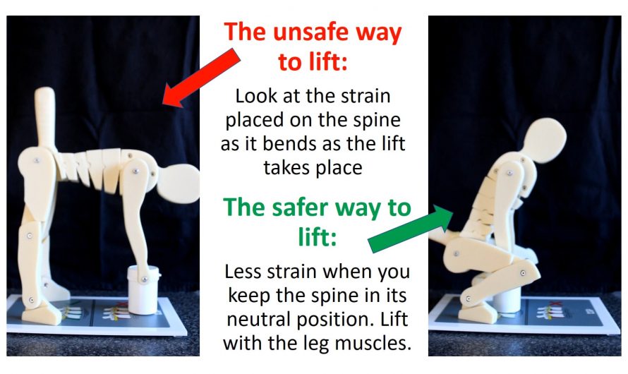 Tiny mannequin used to demonstrate safe way to lift from the ground