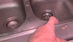 Training a cockroach named Bob