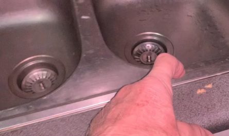 Training a cockroach named Bob