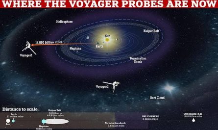 Voyager 1 left the solar system and never stopped calling home This machine has been flying for 47+ years and is still sending data Voyager 1 is farther from Earth than anything humans have ever built