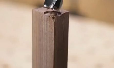 Wood plug and tenon cutter
