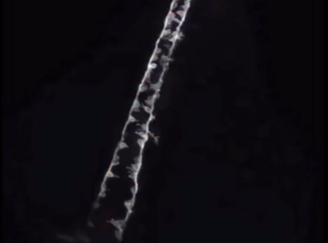 a 16-hour timelapse of an embryo forming its spinal cord.